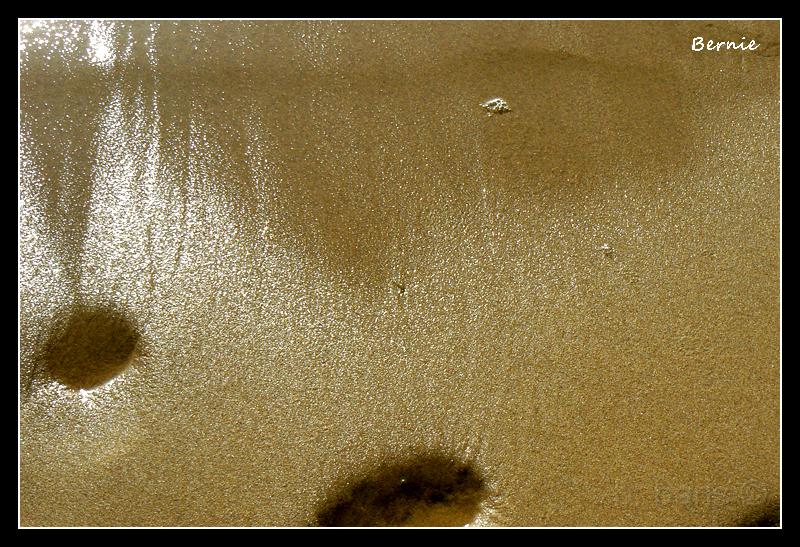 Cap Ferret 3.jpg - Marée descendante à midi